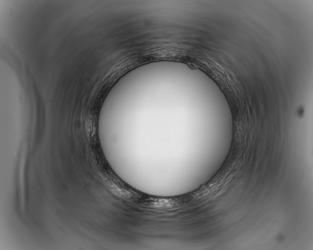X0000101100091200806261055