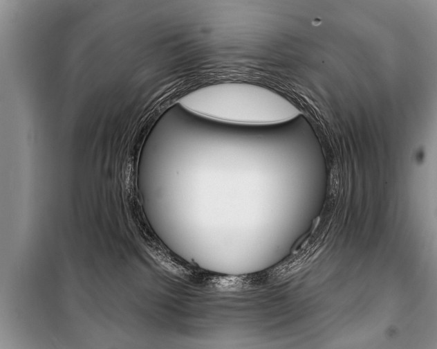 X0000101100092200806261055