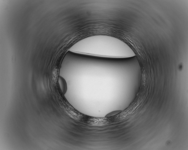 X0000101100093200806261055