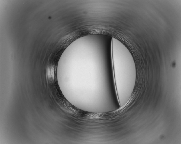 X0000101100094200806261055
