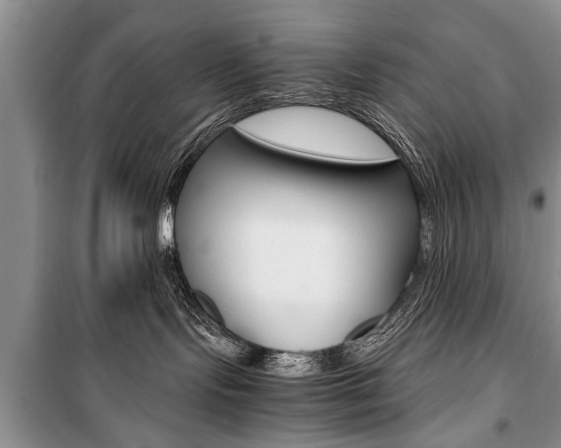 X0000101100095200806261055