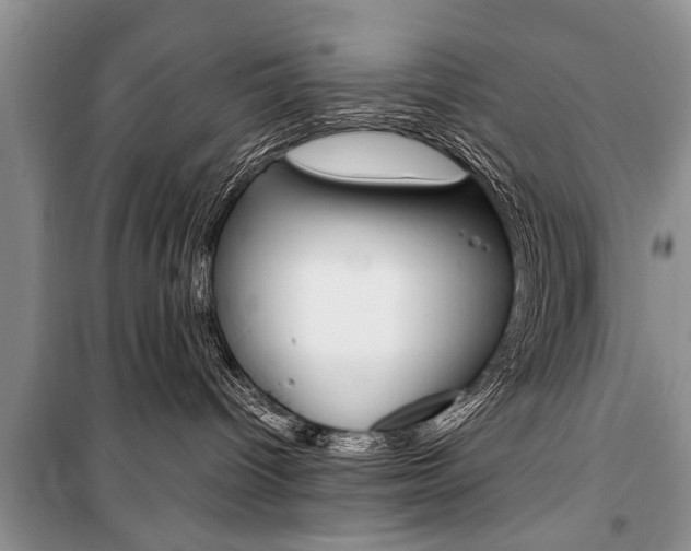 X0000101100096200806261055