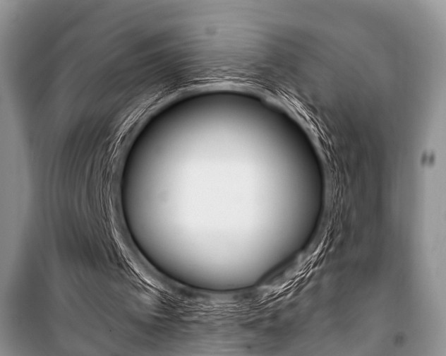 X0000101100097200806261054
