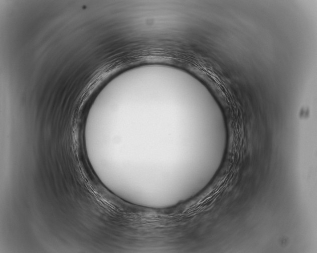 X0000101100098200806261054