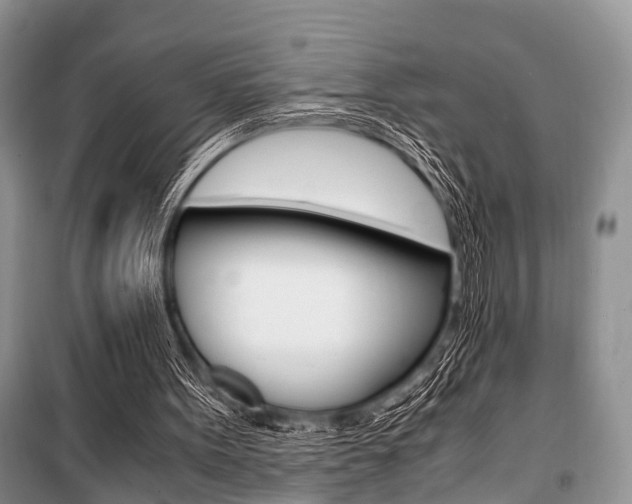 X0000101100099200806261054