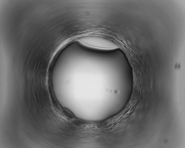 X0000101100100200806261054