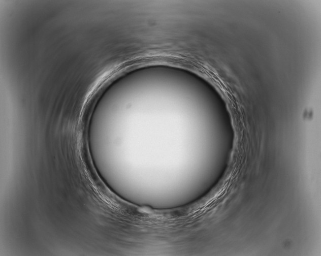 X0000101100101200806261054
