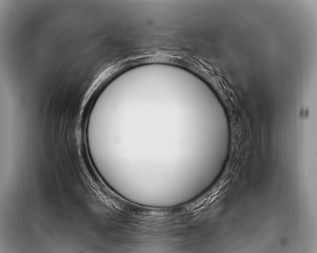 X0000101100102200806261054