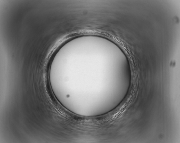 X0000101100103200806261054