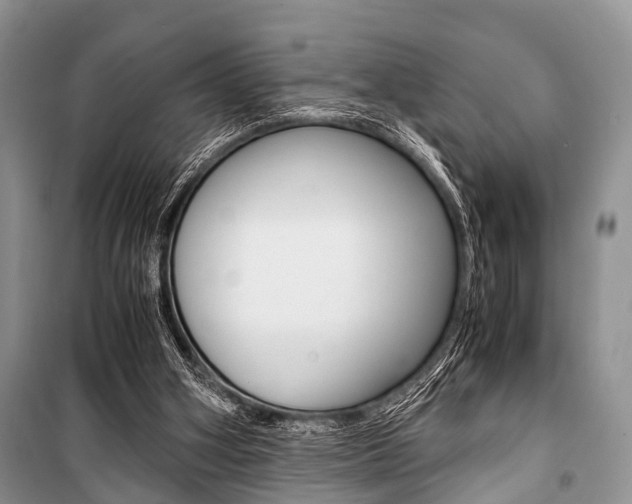 X0000101100106200806261054