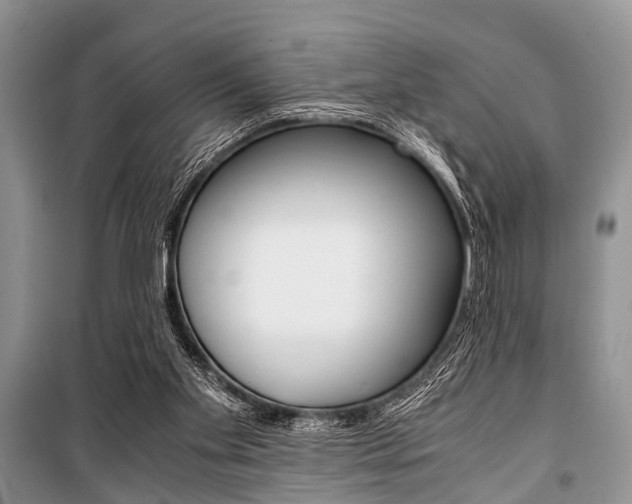 X0000101100109200806261054