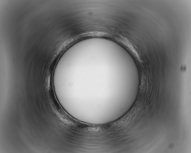 X0000101100110200806261054
