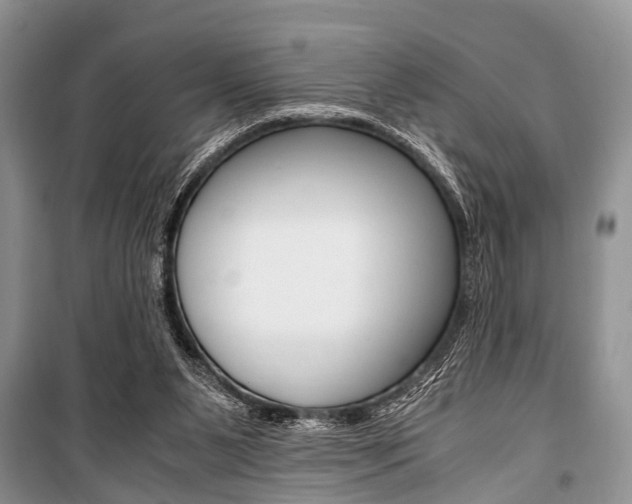 X0000101100111200806261054
