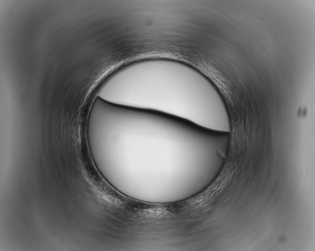 X0000101100112200806261054