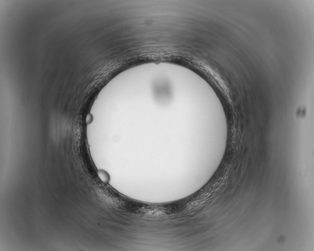 X0000101100113200806261054
