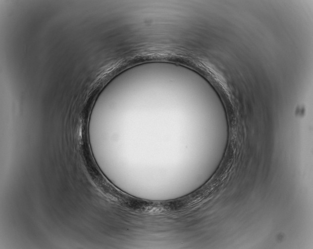 X0000101100115200806261054