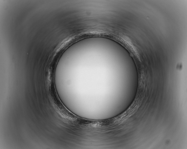 X0000101100116200806261054