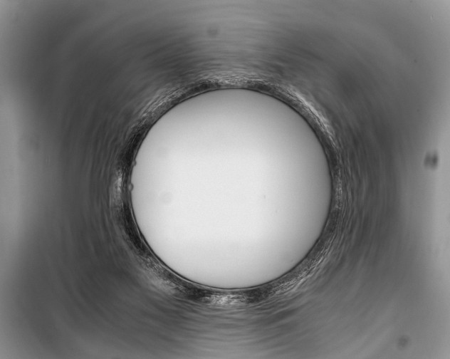X0000101100117200806261054
