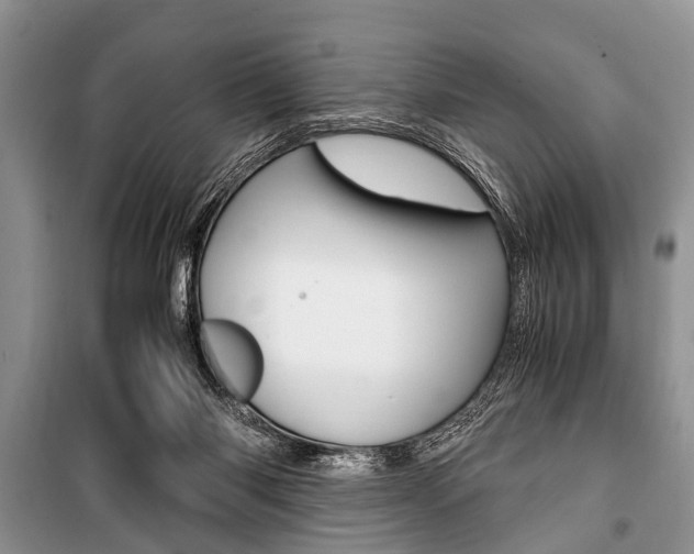 X0000101100118200806261054