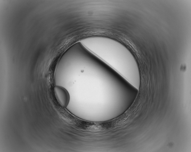 X0000101100119200806261054