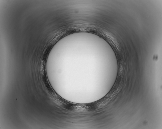 X0000101100121200806261054