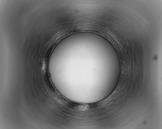 X0000101100124200806261054