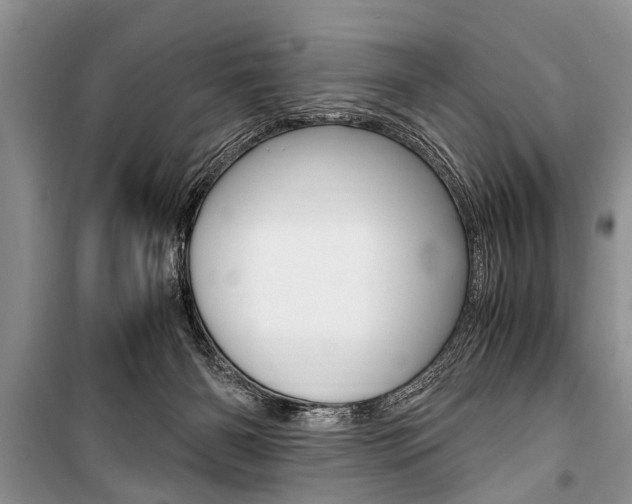 X0000101100126200806261054