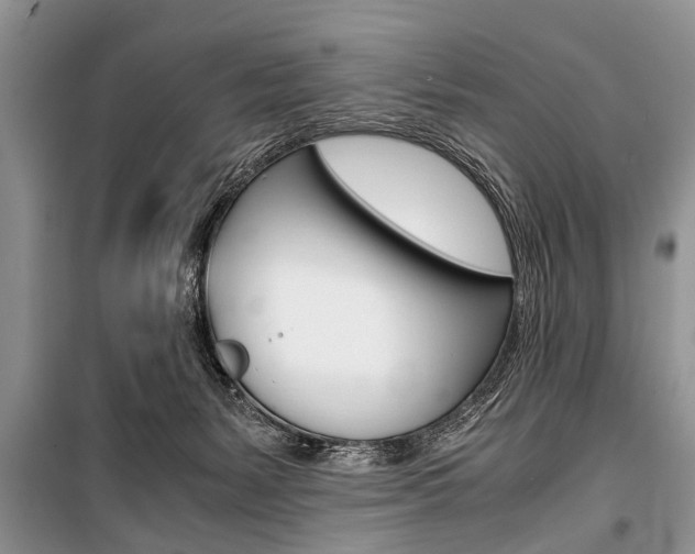 X0000101100127200806261054