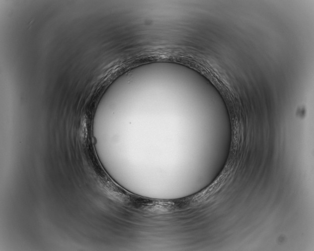 X0000101100128200806261054