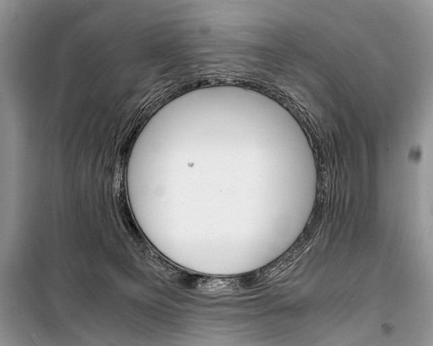 X0000101100129200806261054