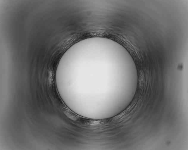 X0000101100130200806261054