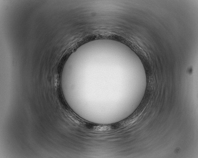 X0000101100135200806261053