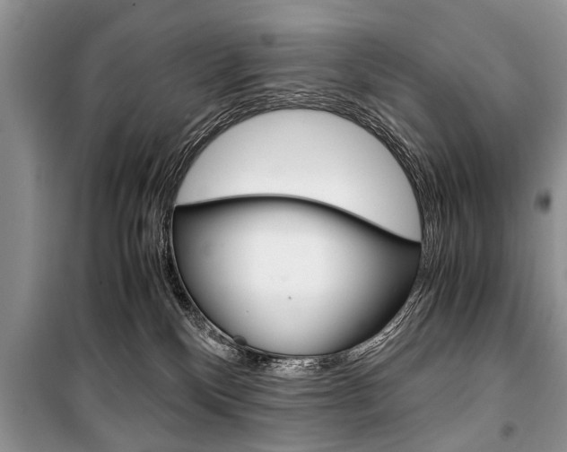 X0000101100136200806261053