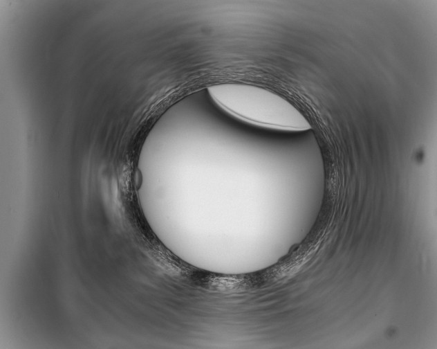 X0000101100139200806261053
