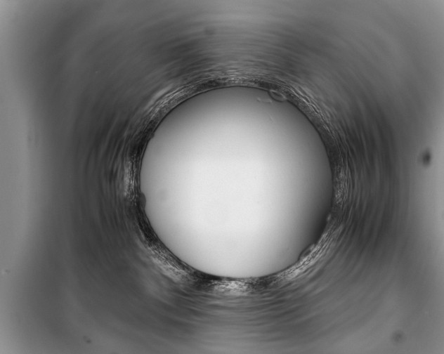 X0000101100140200806261053
