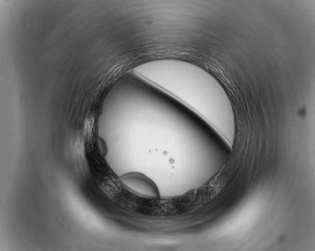 X0000101100143200806261053