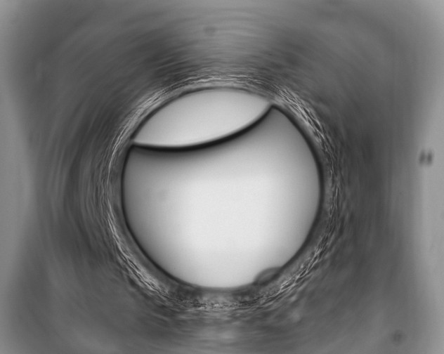 X0000101100145200806261053