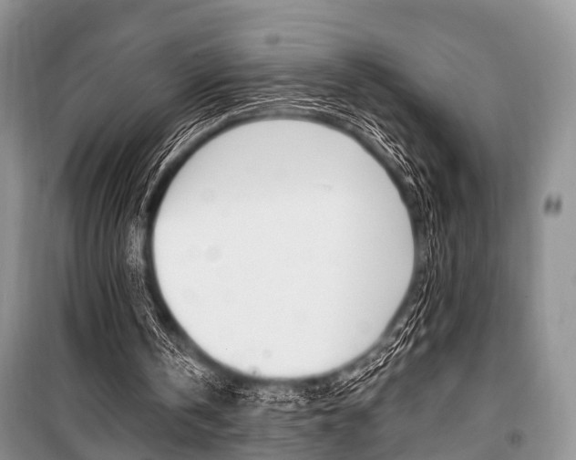 X0000101100146200806261053
