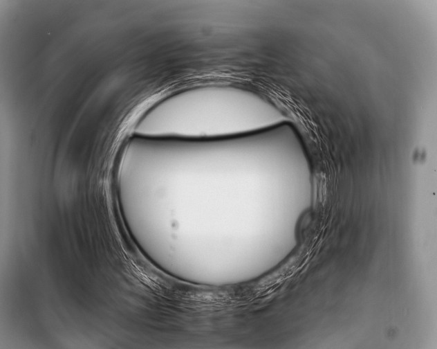X0000101100147200806261053