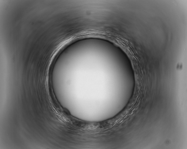 X0000101100148200806261053