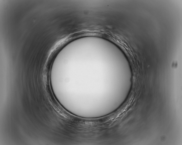 X0000101100149200806261053