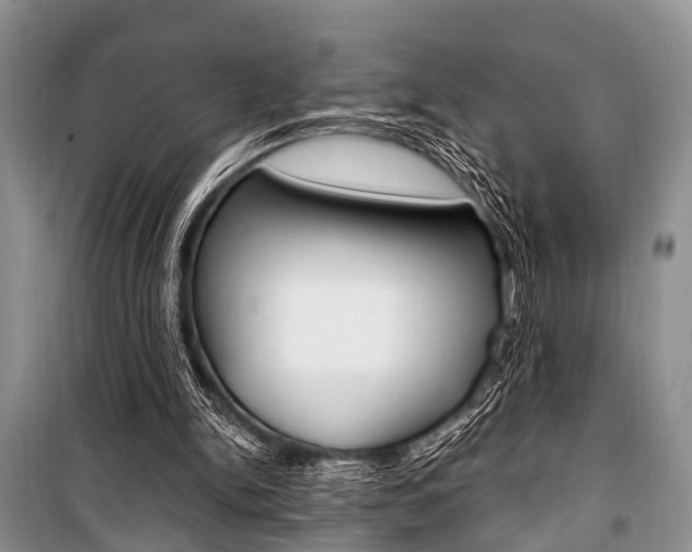 X0000101100150200806261053