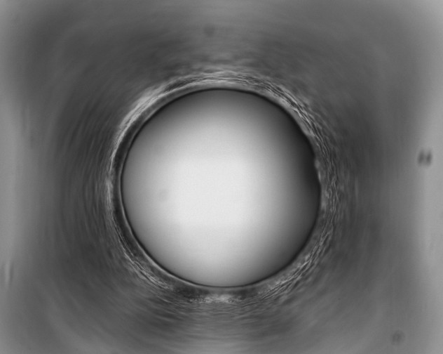 X0000101100152200806261053