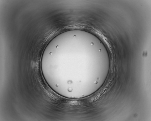 X0000101100153200806261053