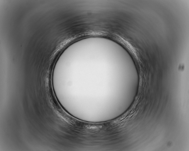 X0000101100155200806261053