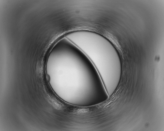 X0000101100156200806261053