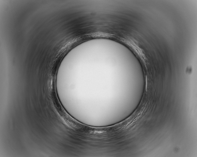 X0000101100157200806261053