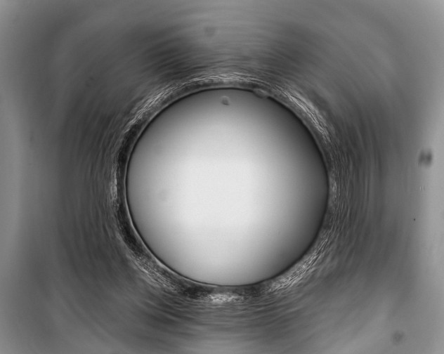 X0000101100158200806261053