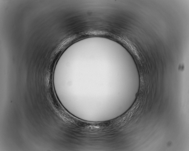 X0000101100159200806261053