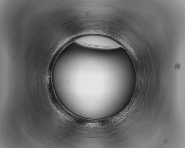 X0000101100160200806261053